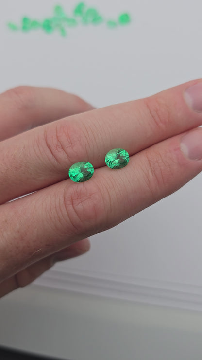 Paire Emeraudes colombiennes 2.75 carats